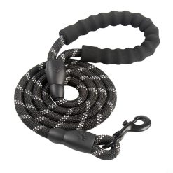 Dog leash & Harness
